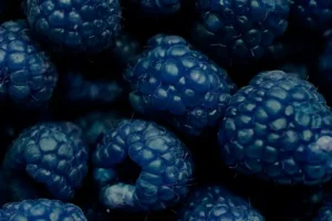 Explore the fascinating history of blue raspberry, its unique flavor, and why it's a staple in candies, drinks, and frozen treats.